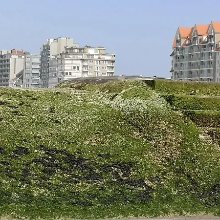 Westeinders Sea View Appartement